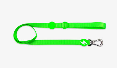 Dashi Neon Green Leash — official Dashi product photo