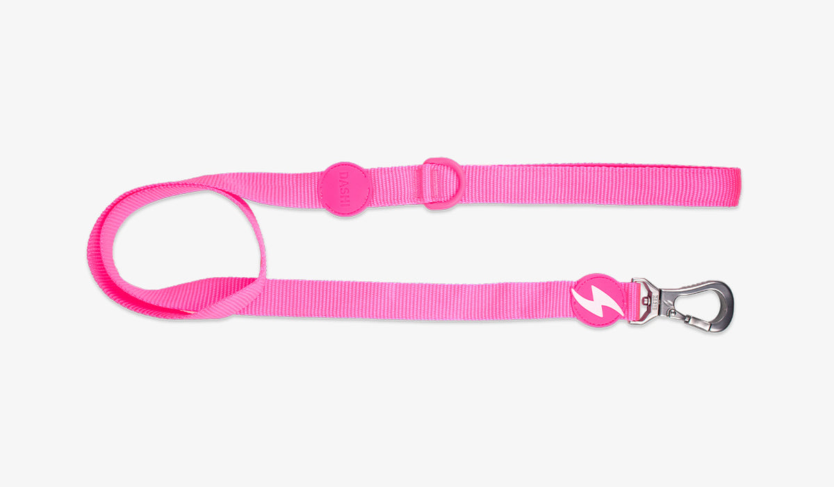 Dashi Neon Pink Leash — official Dashi product photo