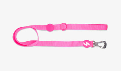 Dashi Neon Pink Leash — official Dashi product photo