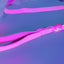 Dashi Neon Pink Leash — product view 4