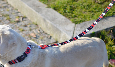 Dashi Slide Leash — product view 2