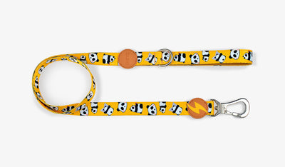 Dashi Snooze Leash — official Dashi product photo