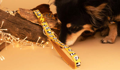 Dashi Snooze Leash — product view 2