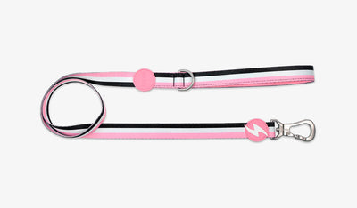 Dashi STRIPES' Pink & Black Leash — official Dashi product photo