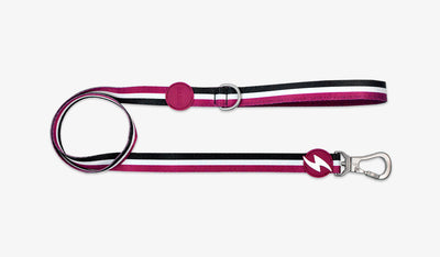 Dashi STRIPES' Purple & Black Leash — official Dashi product photo