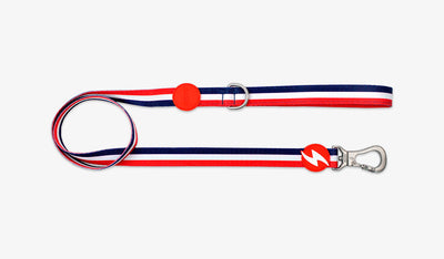 Dashi STRIPES' Red & Blue Leash — official Dashi product photo