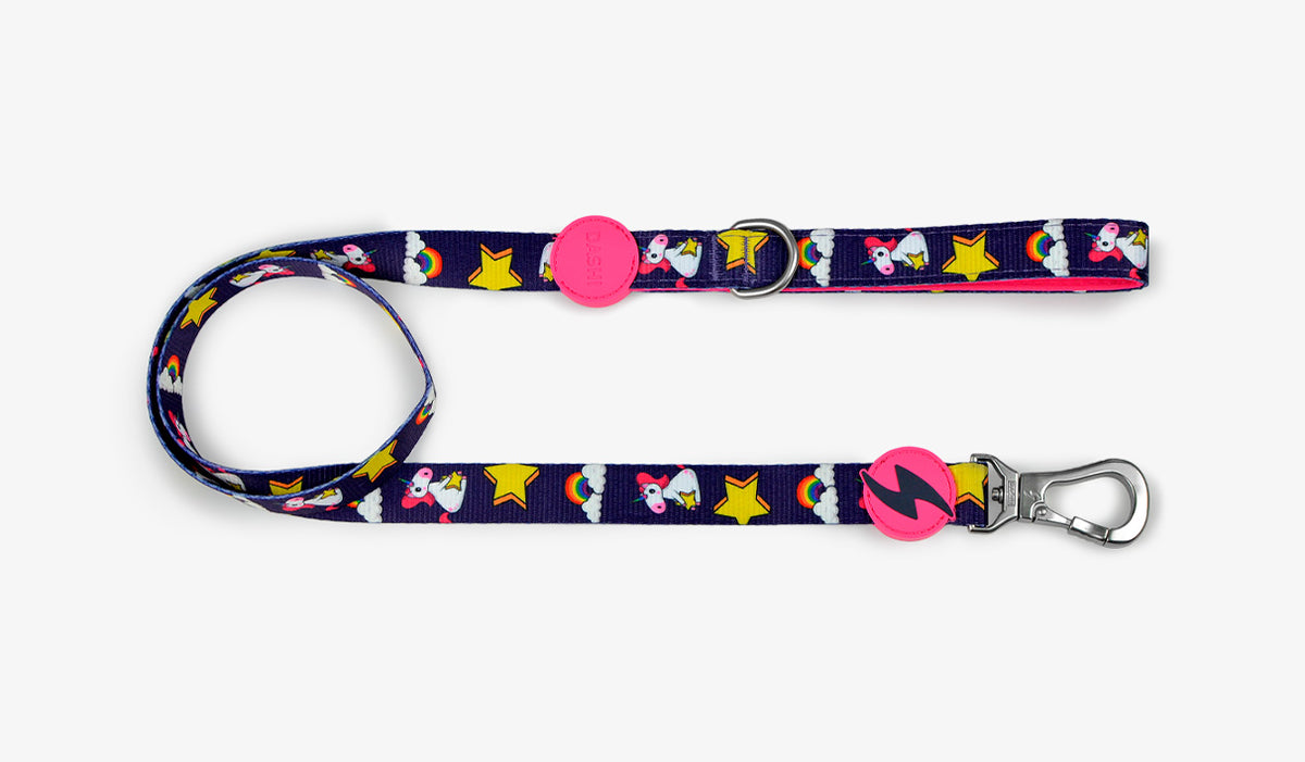 Dashi Unicorn Leash — official Dashi product photo