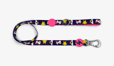 Dashi Unicorn Leash — official Dashi product photo