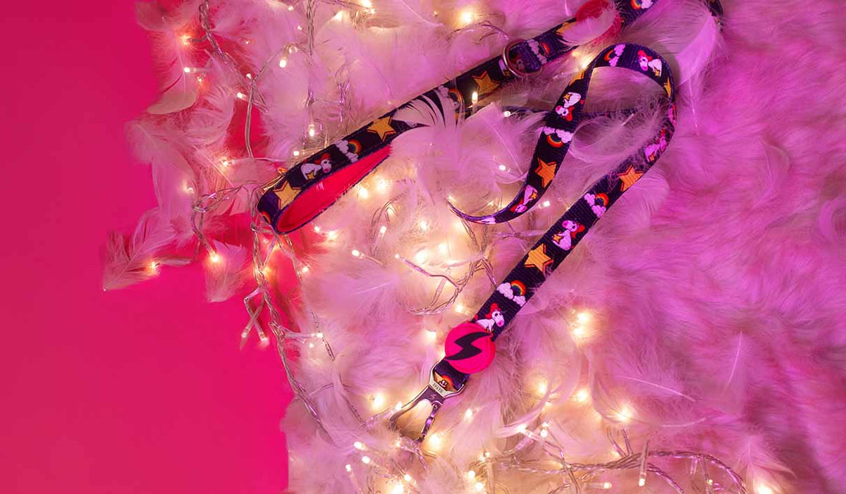 Dashi Unicorn Leash — product view 2