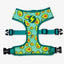 Dashi Avocado Neo Mesh Harness — official Dashi product photo