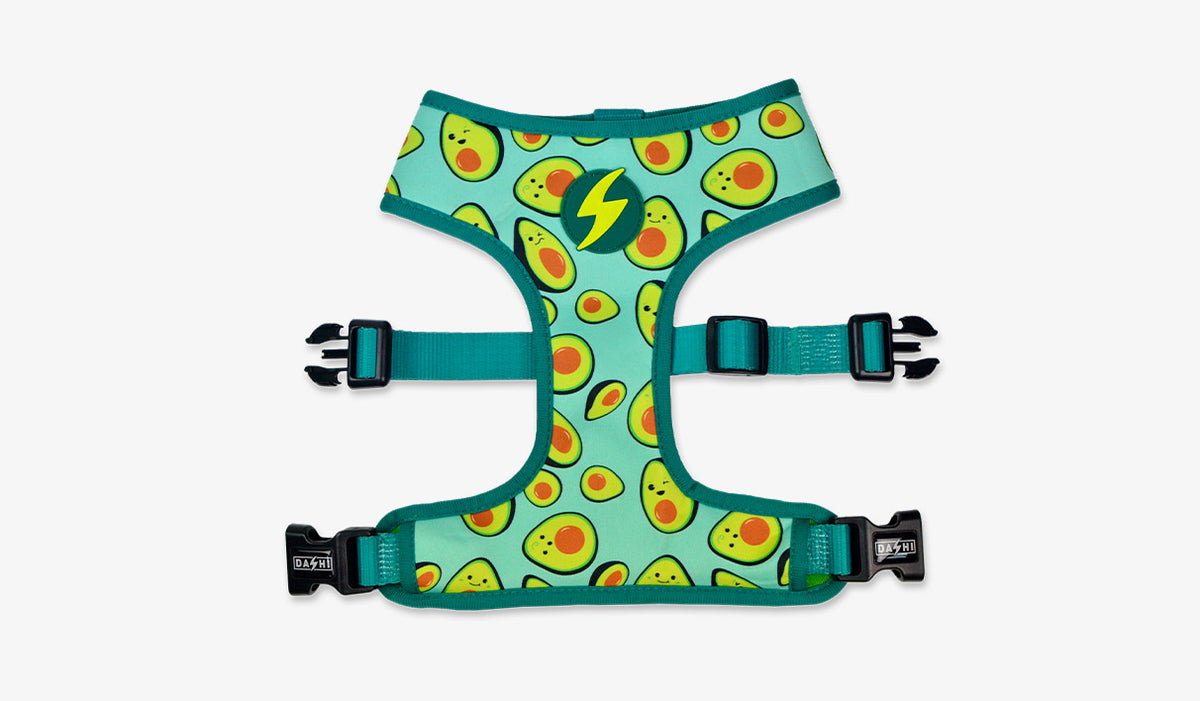 Dashi Avocado Neo Mesh Harness — official Dashi product photo