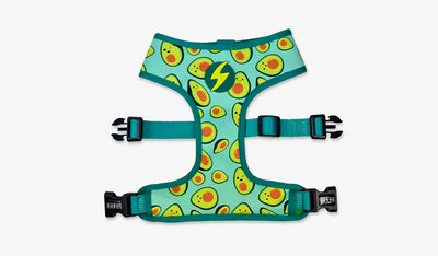 Dashi Avocado Neo Mesh Harness — official Dashi product photo