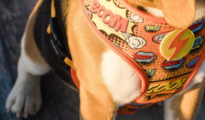 Dashi Boom Neo Mesh Harness — product view 2