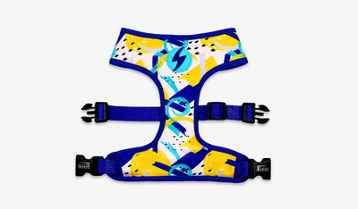 Dashi Nebula Neo Mesh Harness — official Dashi product photo