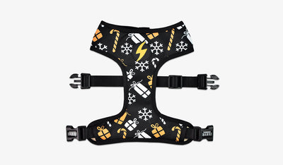 Dashi Spark Neo Mesh Harness — official Dashi product photo