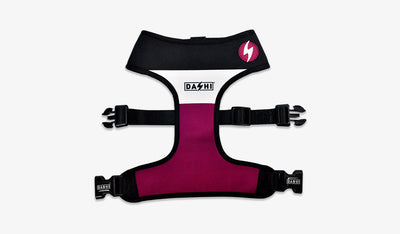 Dashi Stripes3 Purple & Black Neo Mesh Harness — official Dashi product photo