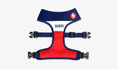 Dashi Stripes3 Red & Blue Neo Mesh Harness — official Dashi product photo