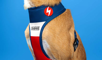 Dashi Stripes3 Red & Blue Neo Mesh Harness — product view 2