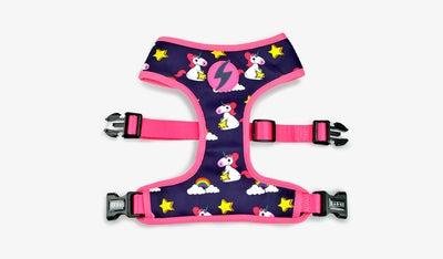 Dashi Unicorn Neo Mesh Harness — official Dashi product photo