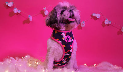 Dashi Unicorn Neo Mesh Harness — product view 2