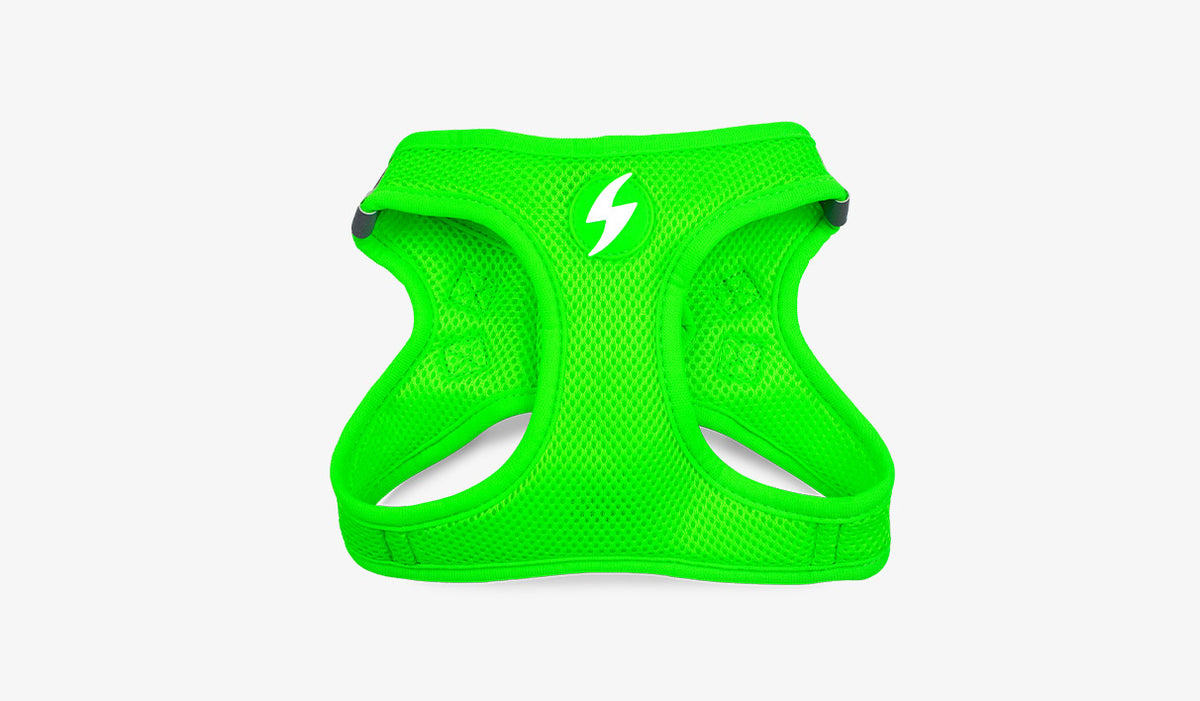 Dashi Neon Green Oxy Mesh Harness — official Dashi product photo