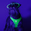 Dashi Neon Green Oxy Mesh Harness — product view 2