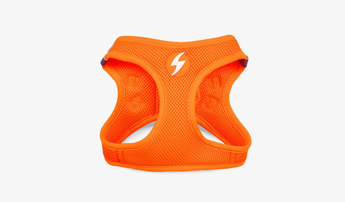 Dashi Neon Orange Oxy Mesh Harness — official Dashi product photo