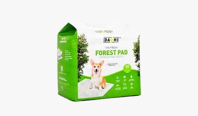 Dashi Forest Pad — official Dashi product photo