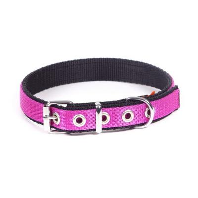Dingo Energy Collar Pink