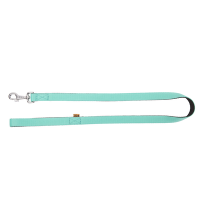 Dingo Energy Leash Mint