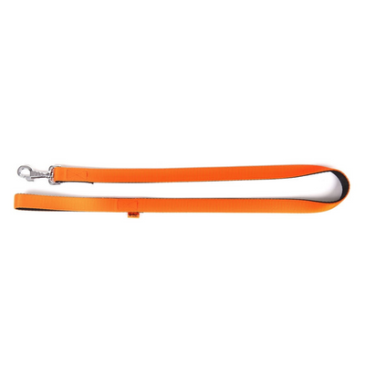 Dingo Energy Leash Orange