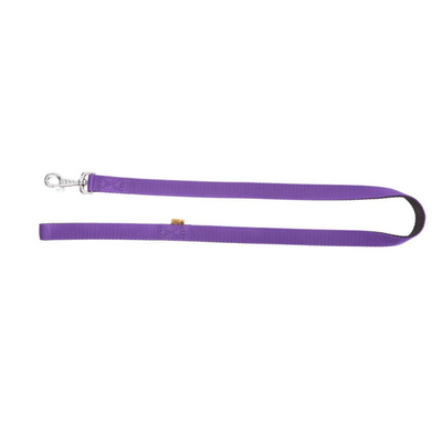 Dingo Energy Leash Violet