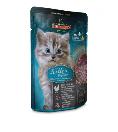 Leonardo Kitten poultry