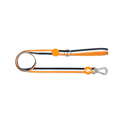 Dashi STRIPES' Orange & Black Leash