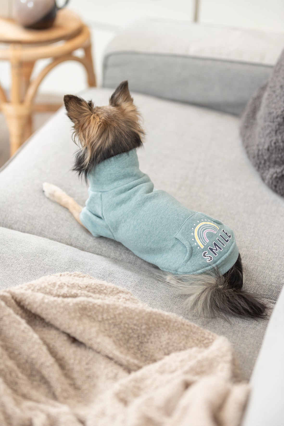 Trixie Littleton sweatshirt, XXS: 21 cm, mint