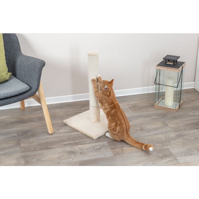 Trixie Batres scratching post, 62 cm, beige