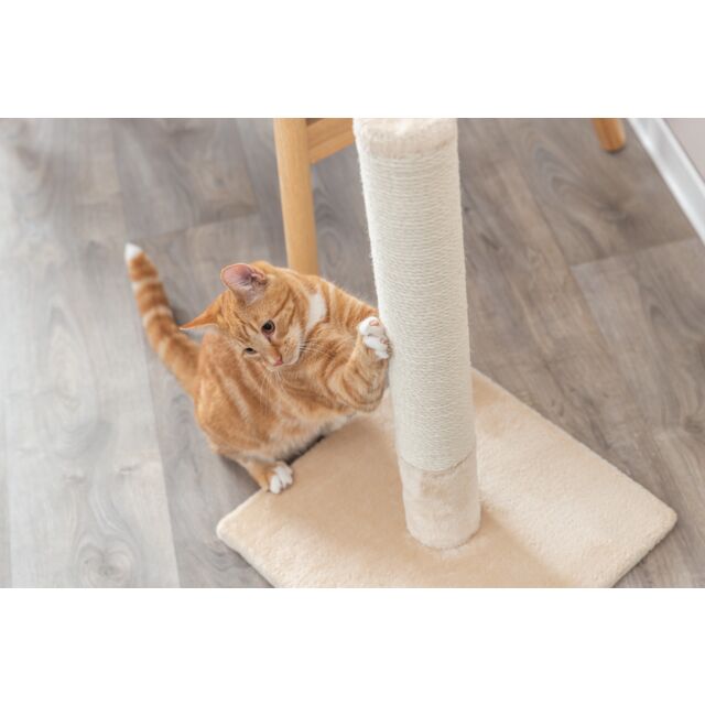 Trixie Batres scratching post, 62 cm, beige