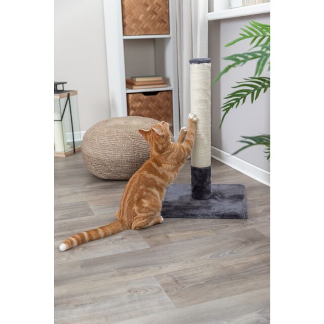 Trixie Batres scratching post, 62 cm, platinum grey