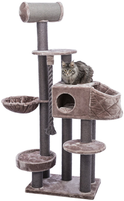 Trixie Andres scratching post, XXL 70 X 190 X 48 cm, cappuccino