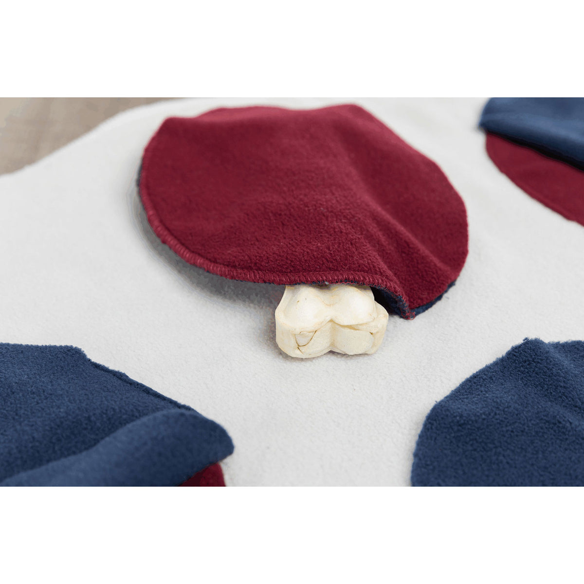 Trixie Dog Activity Sniffing Blanket 70 x 70cm - image 11