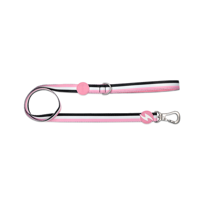 Dashi STRIPES' Pink & Black Leash
