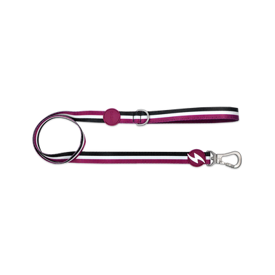 Dashi STRIPES' purple & Black Leash
