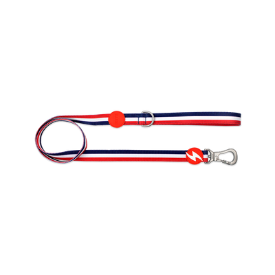 Dashi STRIPES' Red & Blue Leash