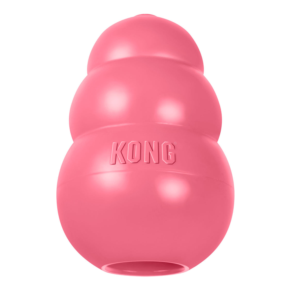KONG Puppy Medium