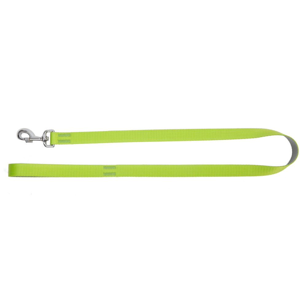 Dingo Energy Silver Leash Green