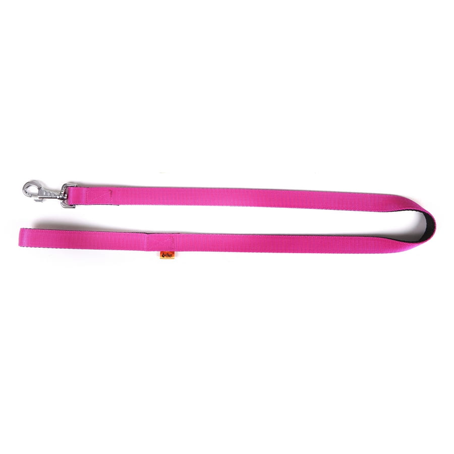 Dingo Energy Leash Pink