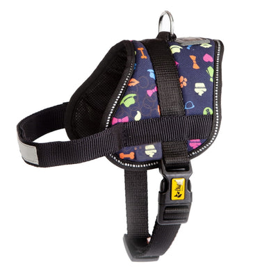 Dingo America Strong Harness Alabama