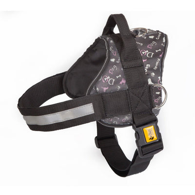 Dingo America Strong Harness Nevada