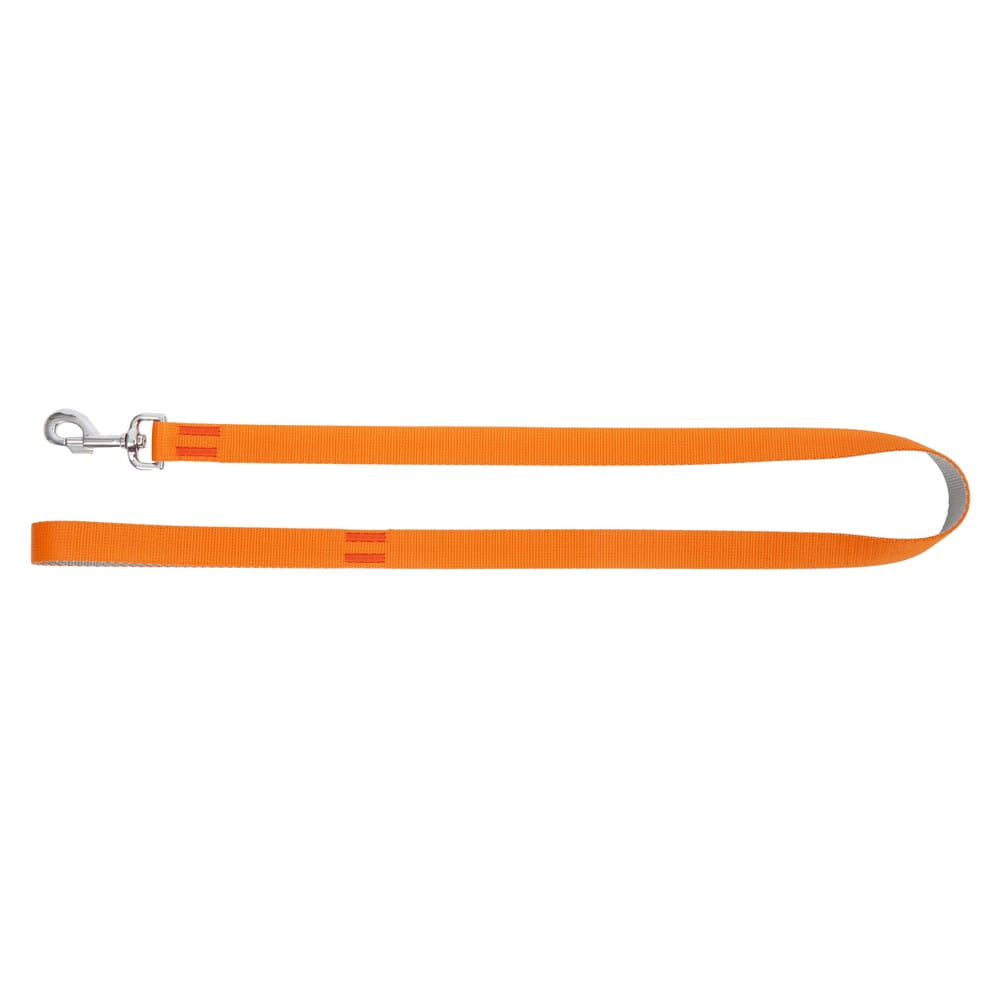 Dingo Energy Silver Leash Orange