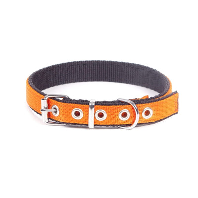 Dingo Energy Collar Orange